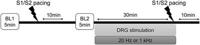 Neuromodulation With Thoracic Dorsal Root Ganglion Stimulation Reduces Ventricular Arrhythmogenicity